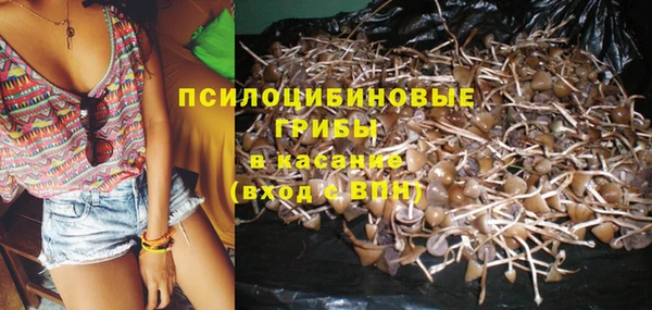 дмт Абинск