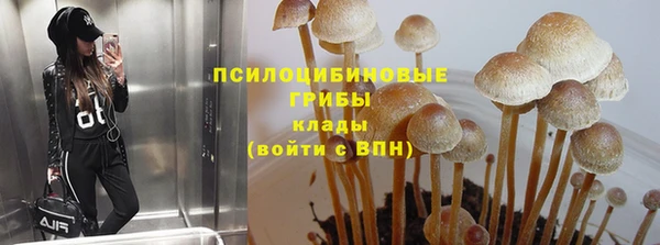 jwh Абаза