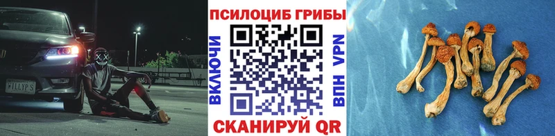 Галлюциногенные грибы Psilocybe  ОМГ ОМГ как войти  Ялуторовск 